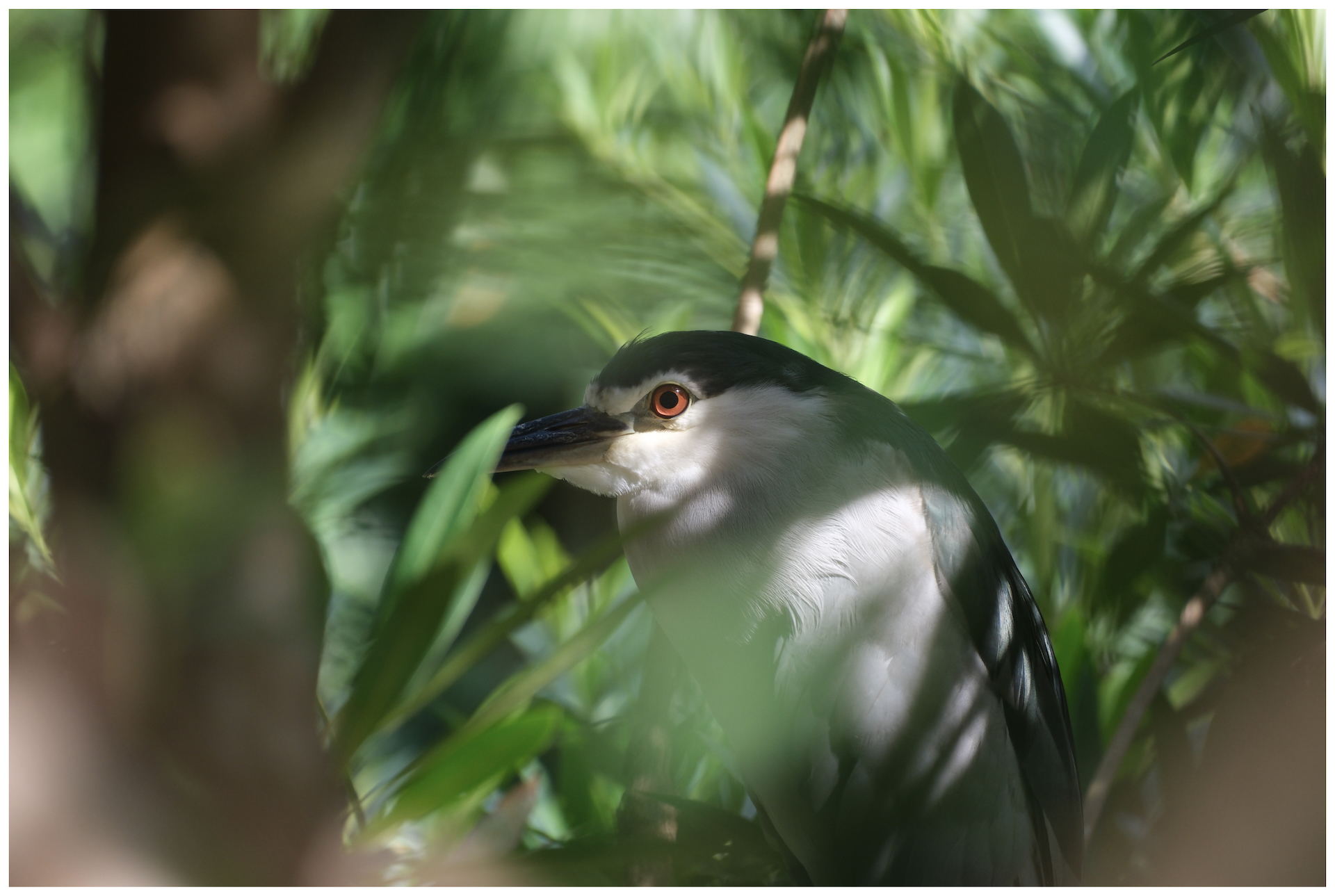 Hong Kong - September 2025