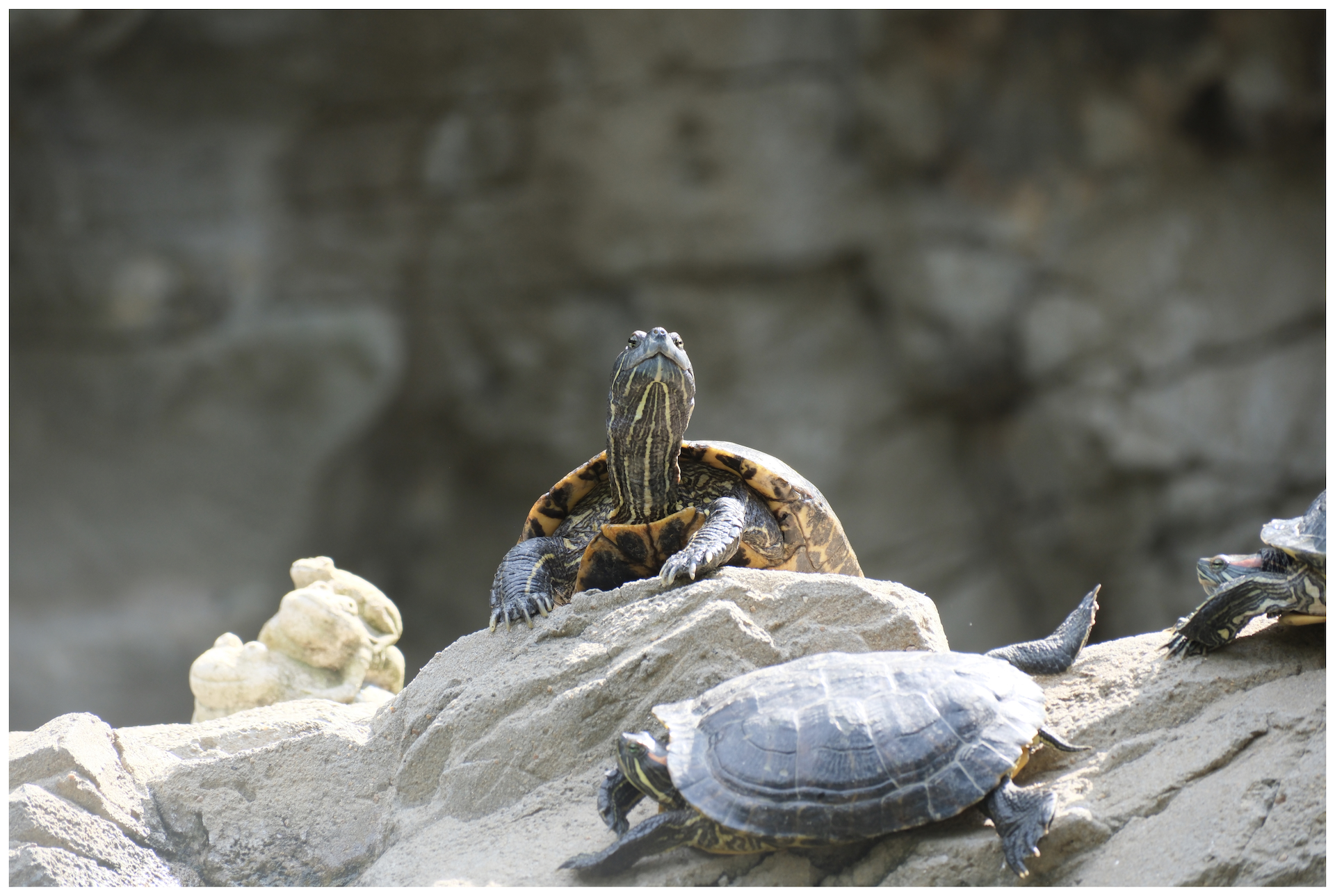 Hong Kong - September 2025