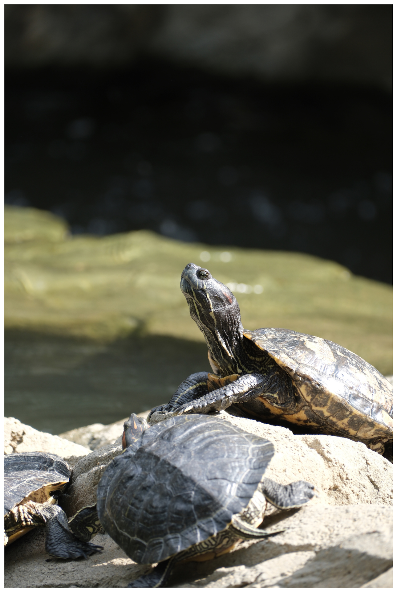 Hong Kong - September 2025