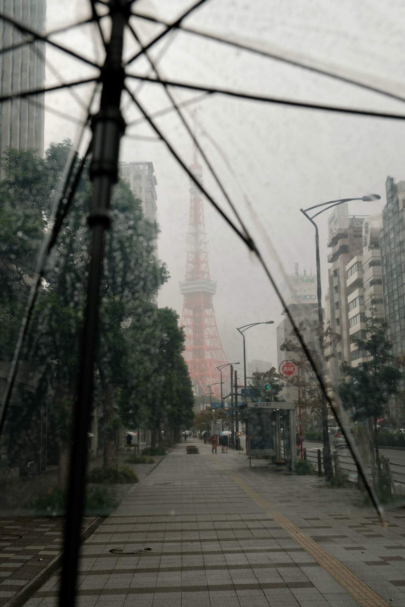 11 October 2025 preview