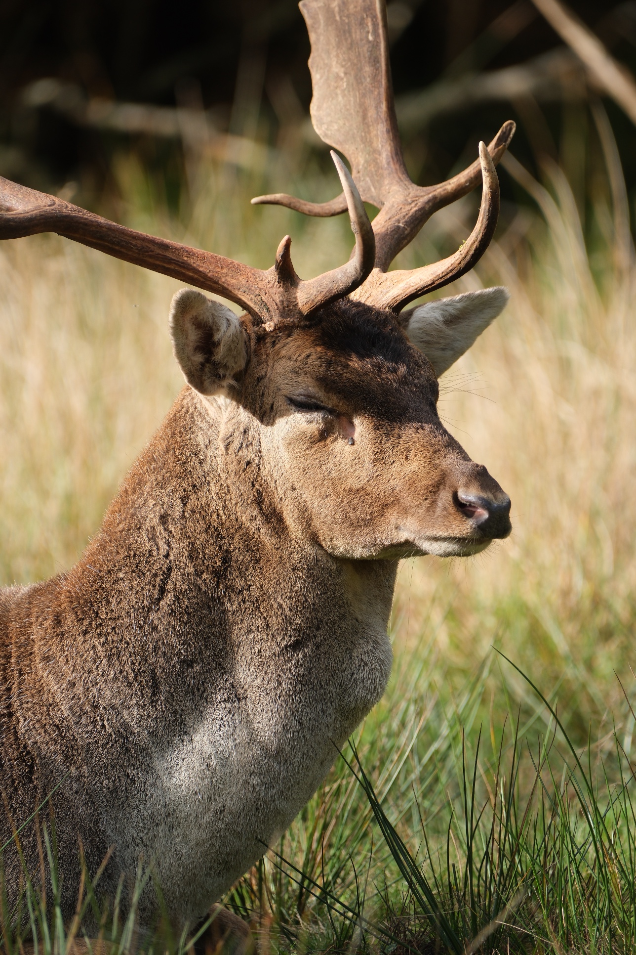 19 October 2024 preview