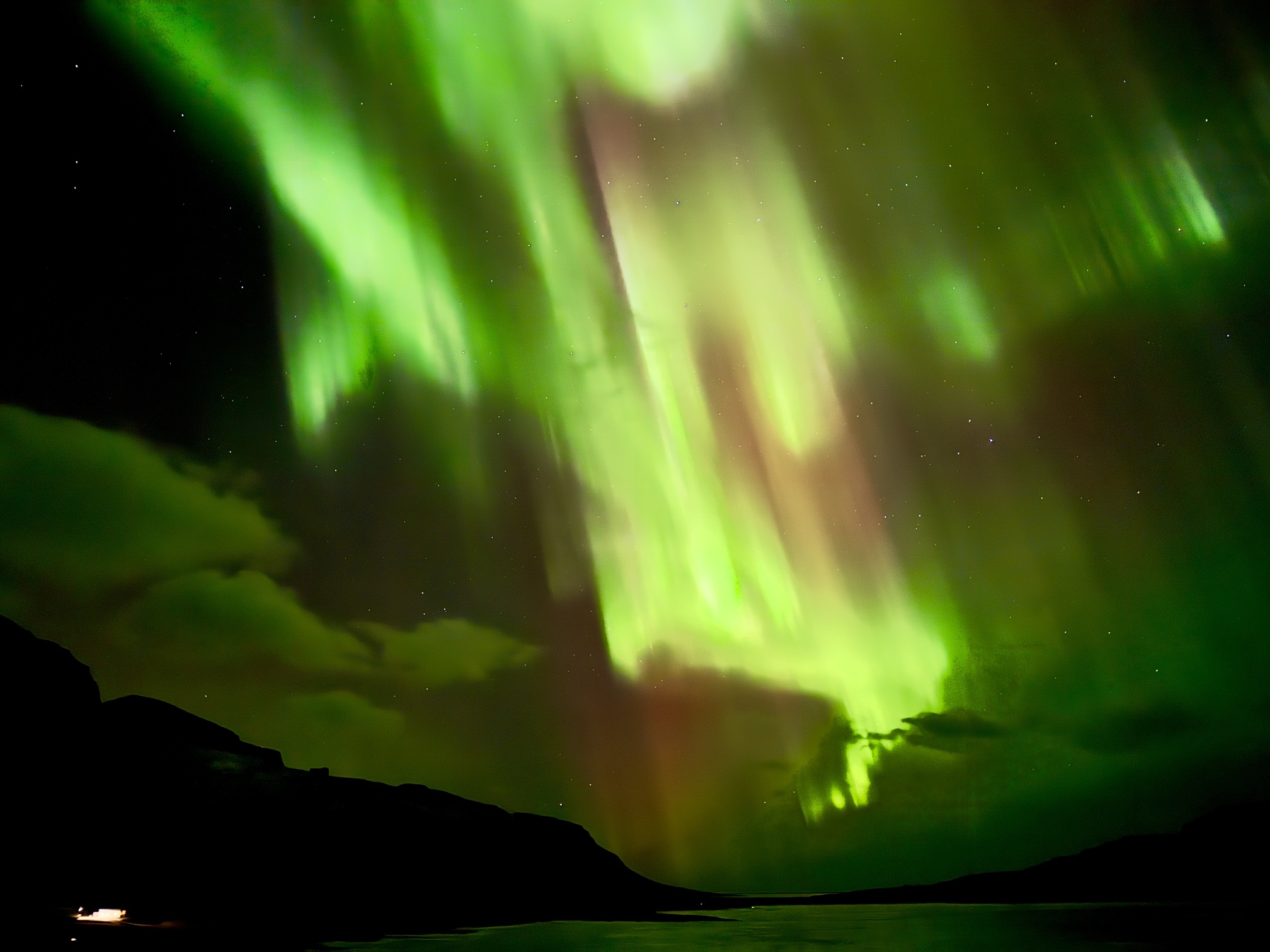 24 November 2024 preview