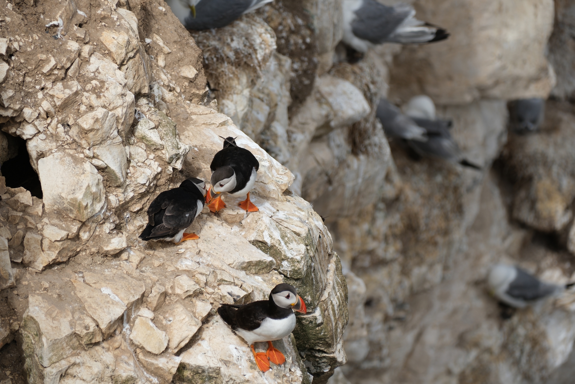 12 July 2025 preview