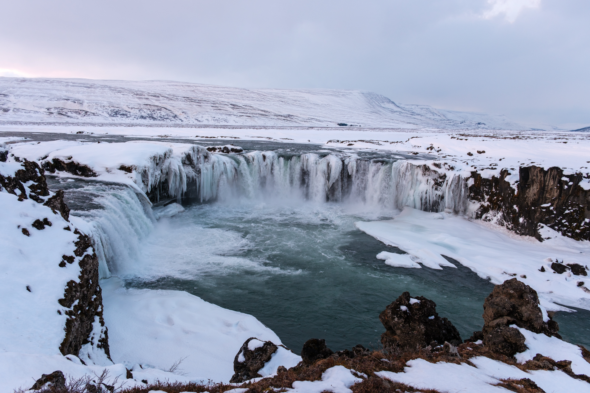 27 November 2024 preview