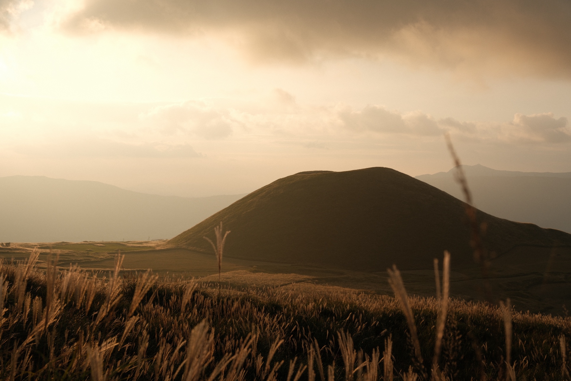 8 October 2025 preview