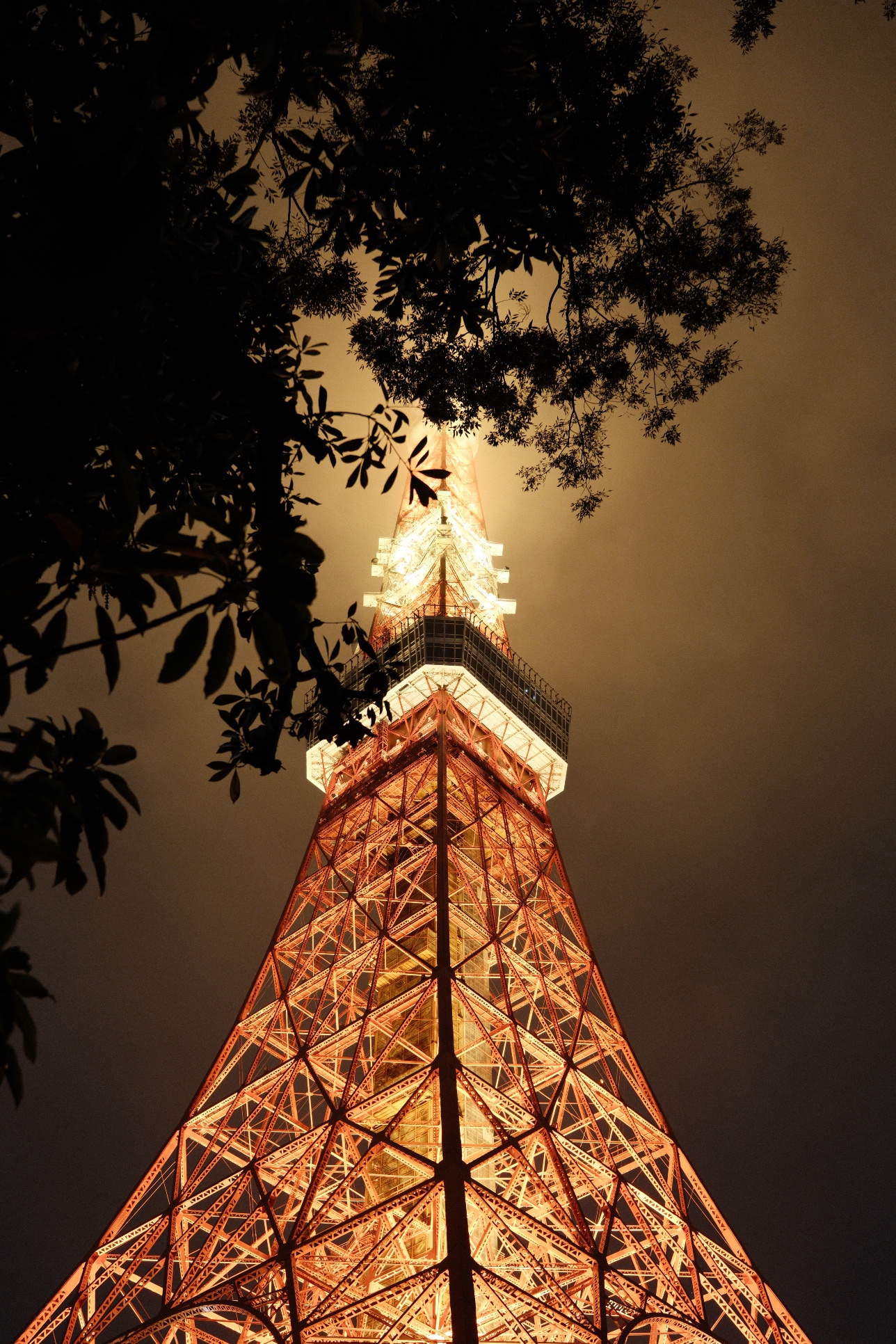Highlighted image