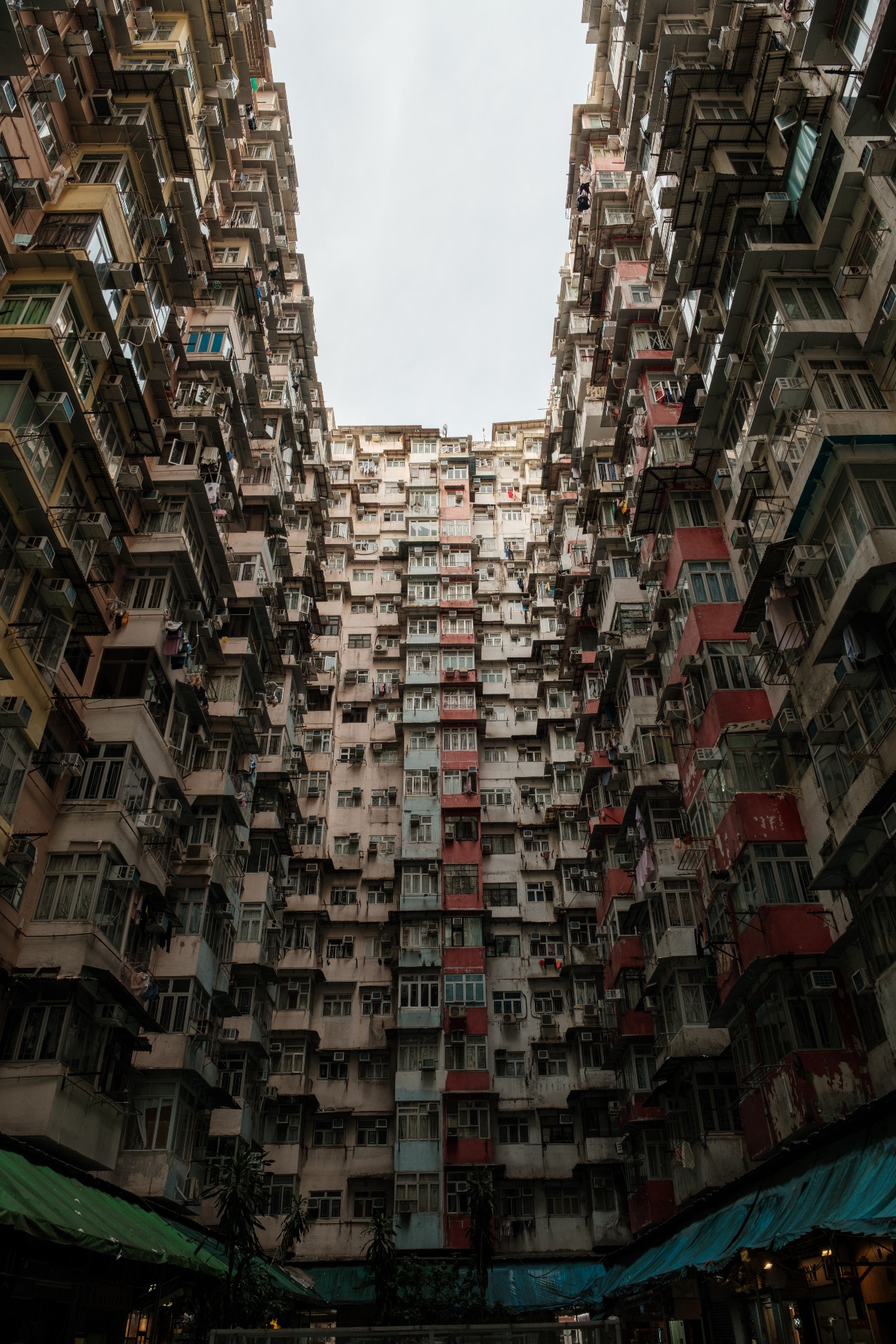 29 September 2025 preview