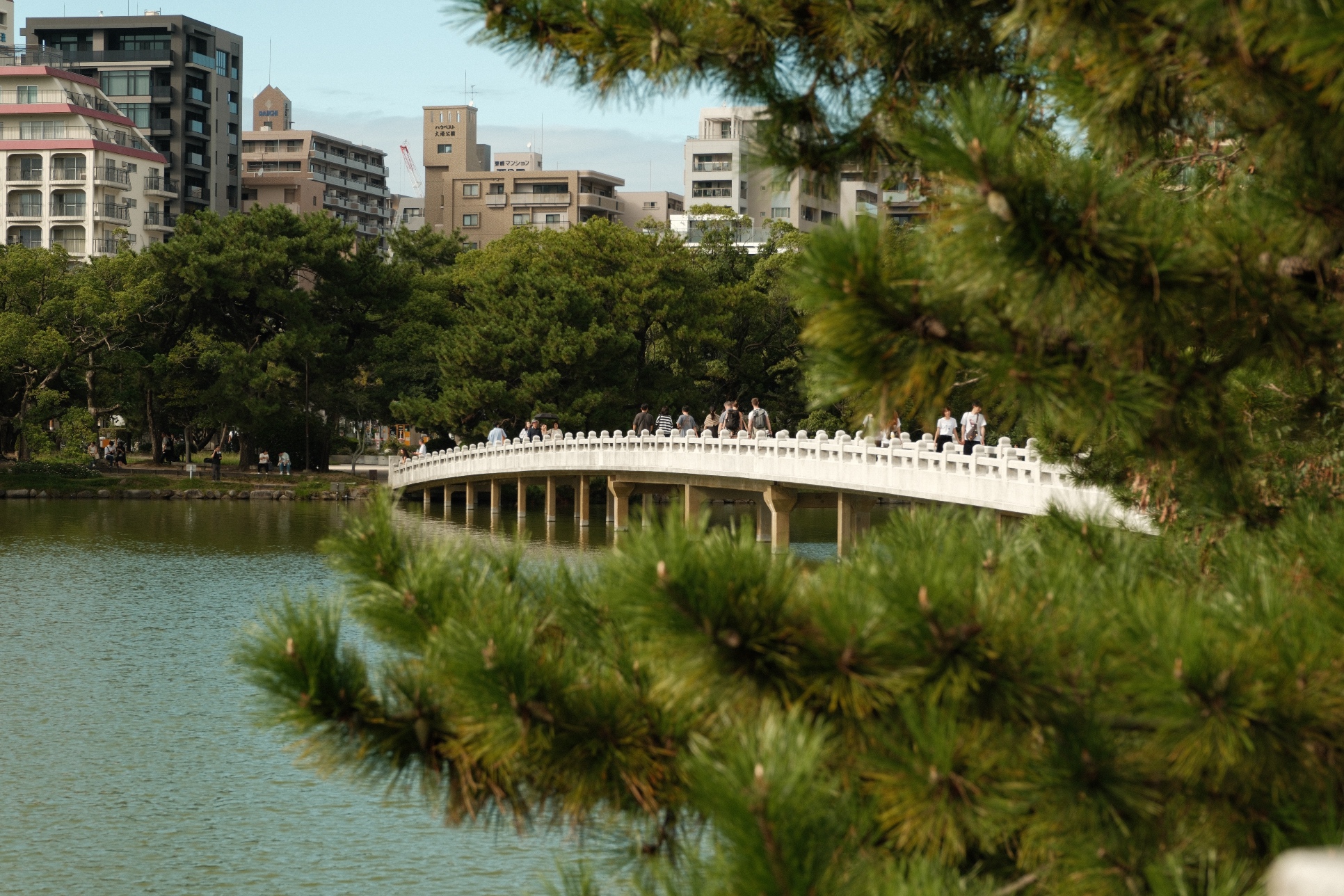 5 October 2025 preview