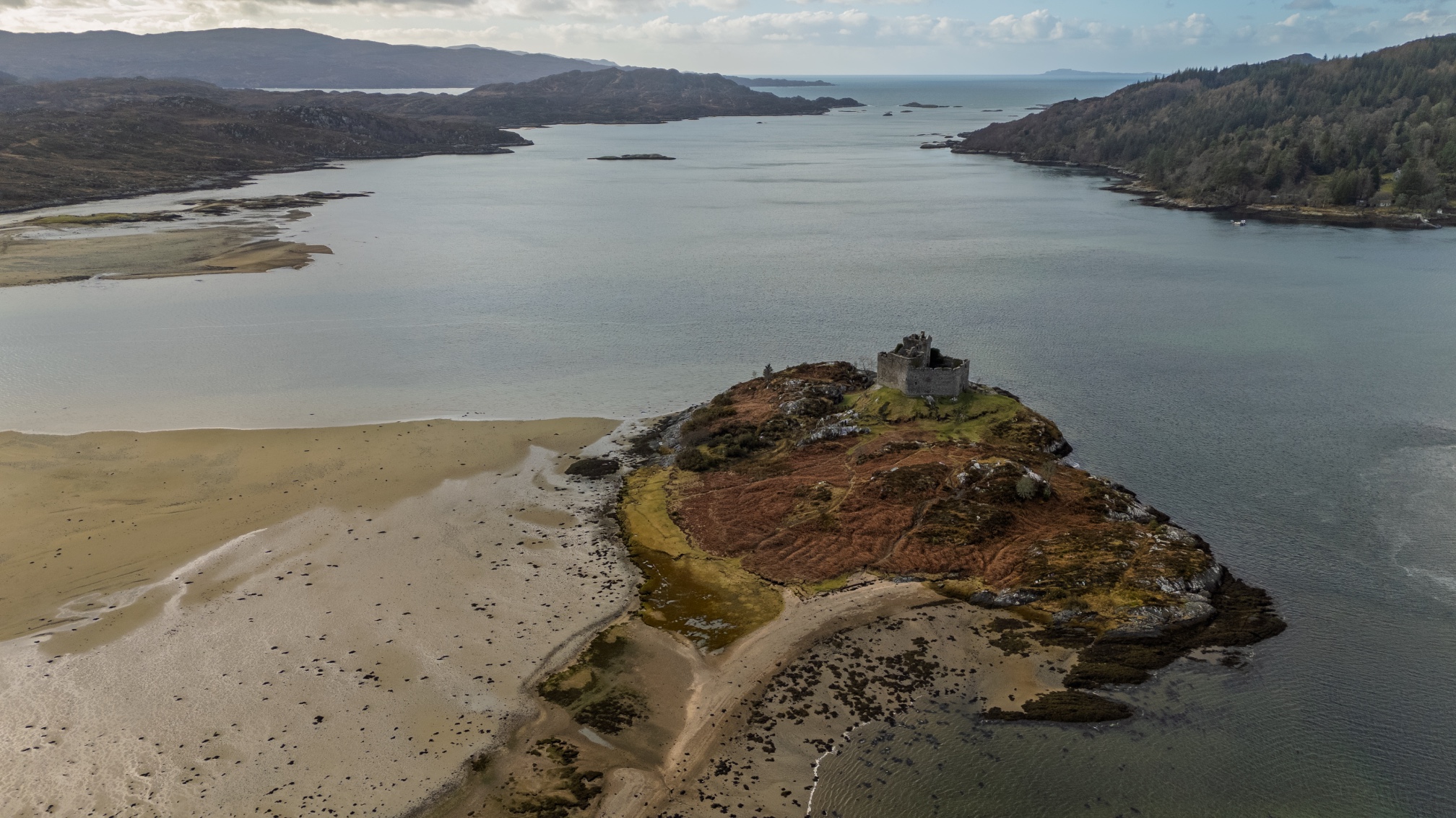 16 February 2026 preview