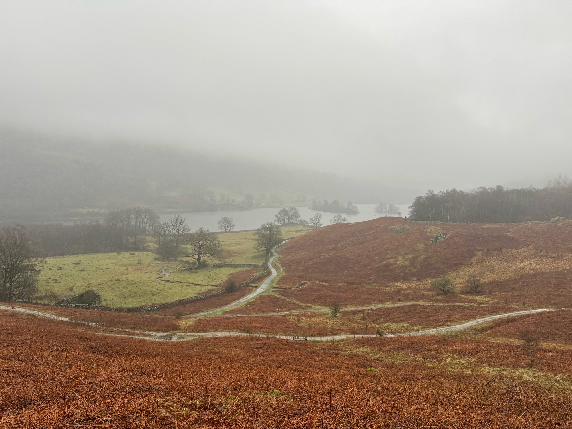 17 February 2024 preview