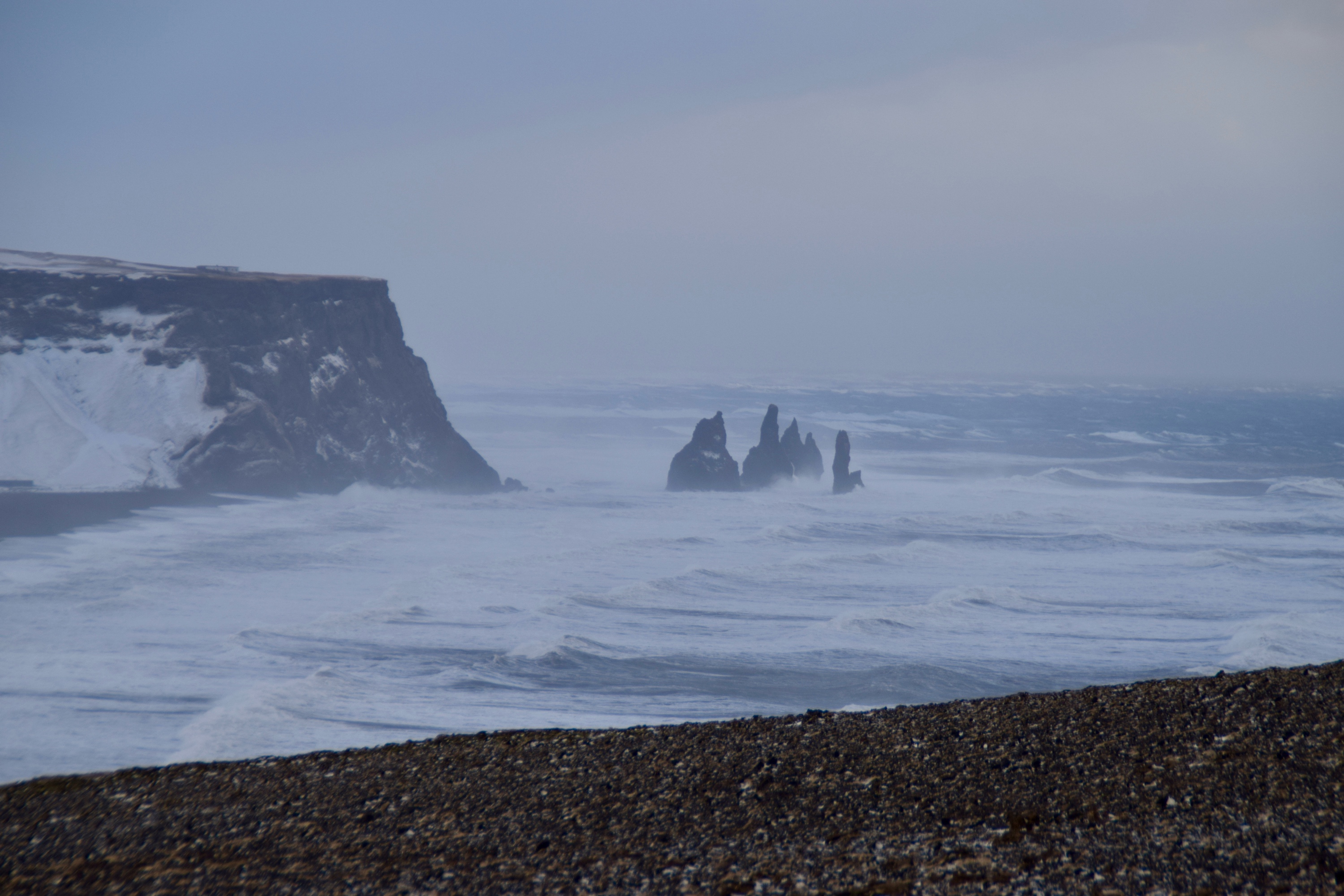 27 January 2024 preview