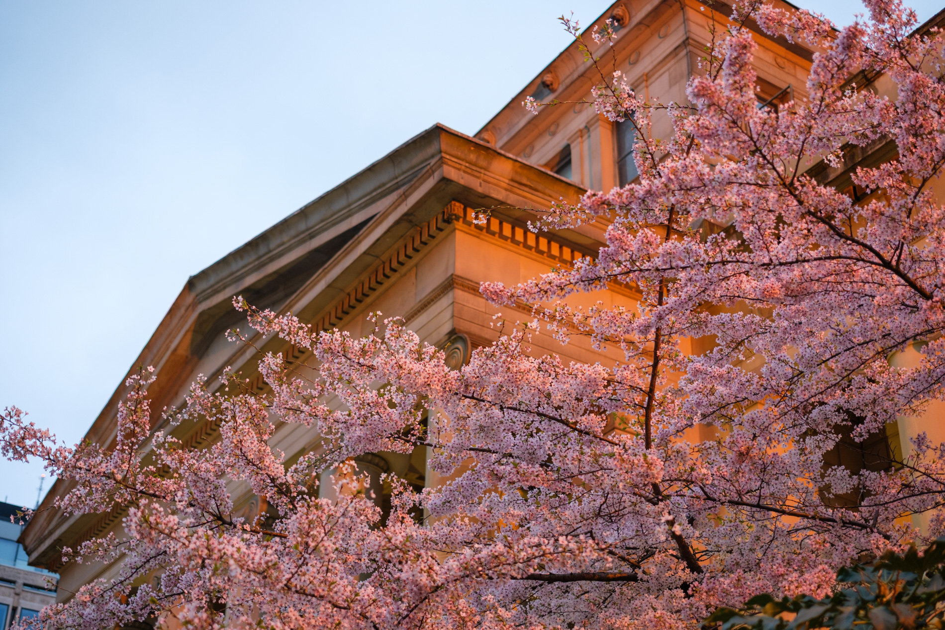 22 March 2026 preview